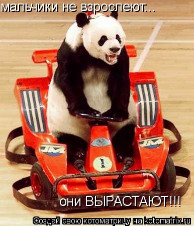 мальчики не взрослеют... они ВЫРАСТАЮТ!!!... Котоматрица: мальчики не взрослеют... они ВЫРАСТАЮТ!!!