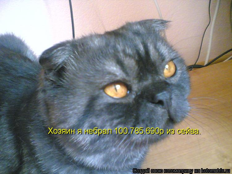 Хозяин я небрал 100.785.690р из сейва.... Котоматрица: Хозяин я небрал 100.785.690р из сейва.