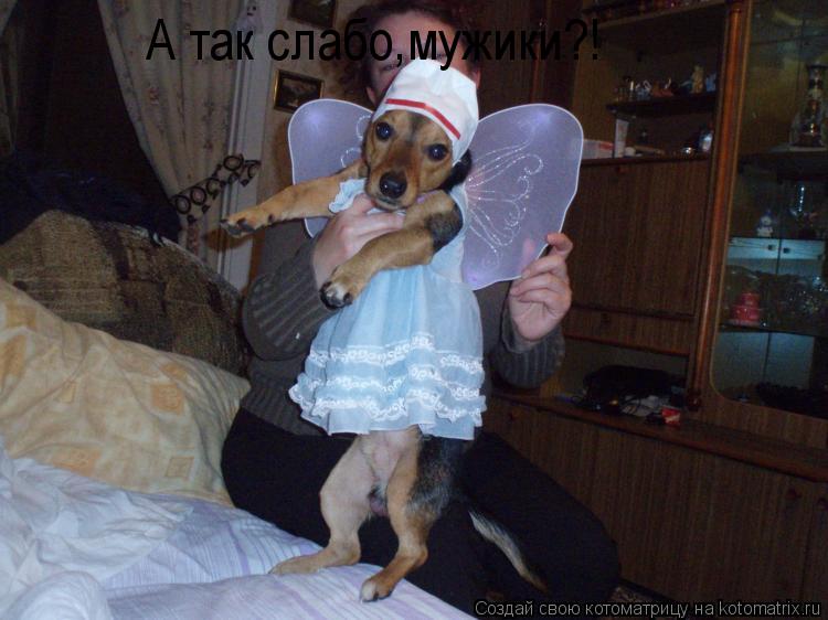 А так слабо,мужики?!... Котоматрица: А так слабо,мужики?!