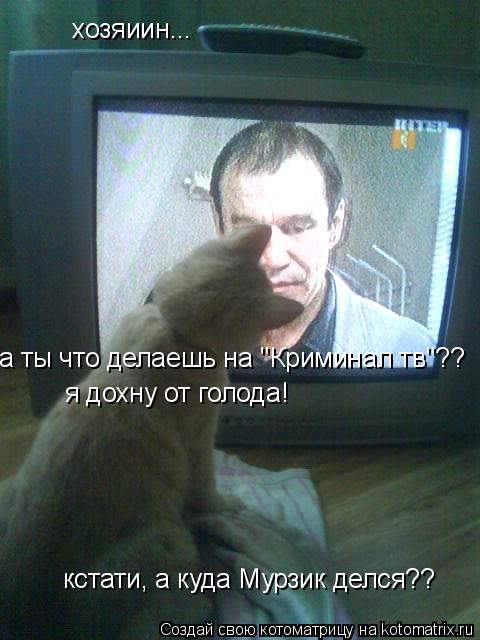 хозяиин... а ты что делаешь на "Криминал тв"?? я дохну от голода! кстати, а куда Мурзик делся??... Котоматрица: хозяиин... а ты что делаешь на "Криминал тв"?? я дохну от голода! кстати, а куда Мурзик делся??