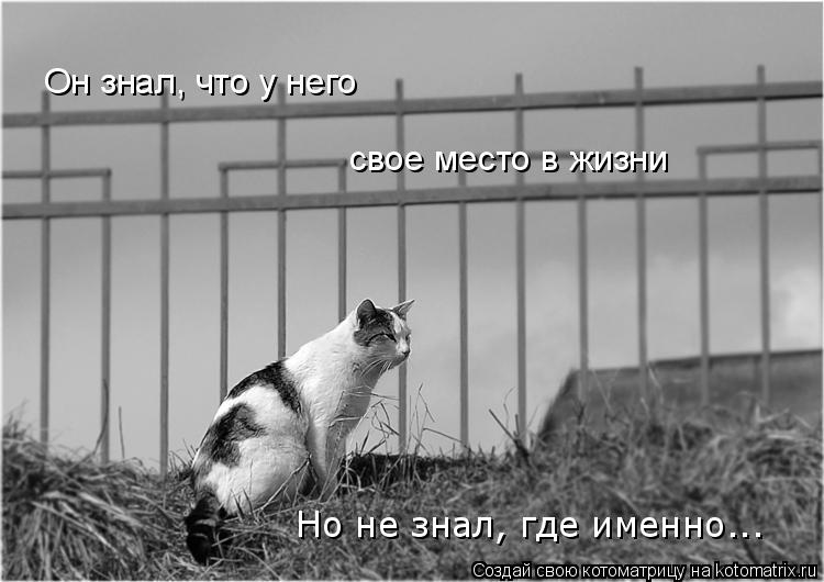 Он знал, что у него свое место в жизни Но не знал, где именно...... Котоматрица: Он знал, что у него свое место в жизни Но не знал, где именно...