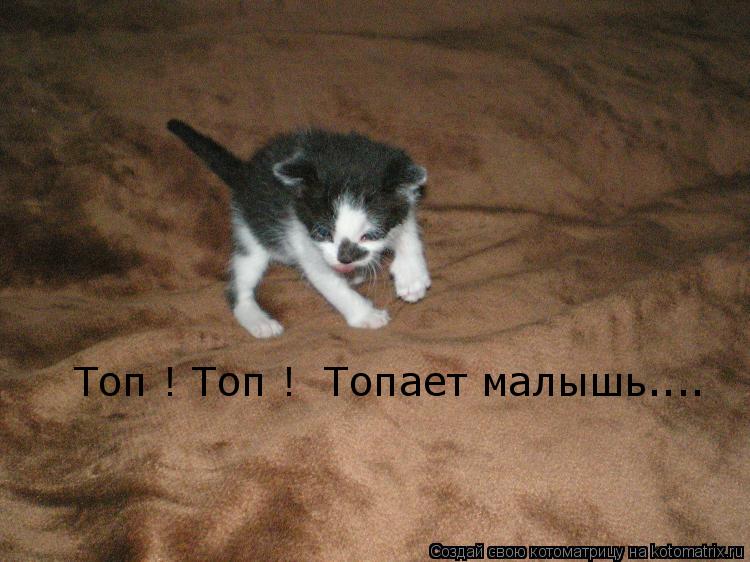Топ ! Топ ! Топает малышь....... Котоматрица: Топ ! Топ ! Топает малышь....