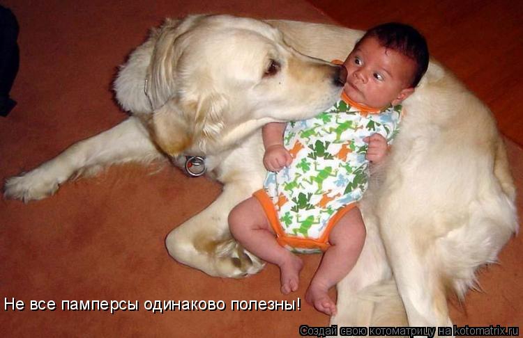 Котоматрица: Не все памперсы одинаково полезны!