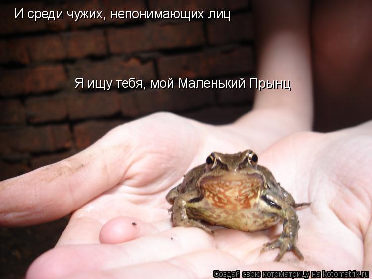 И среди чужих, непонимающих лиц Я ищу тебя, мой Маленький Прынц... Котоматрица: И среди чужих, непонимающих лиц Я ищу тебя, мой Маленький Прынц