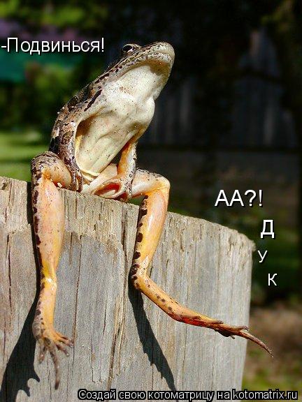 -Подвинься! К У Д АА?!... Котоматрица: -Подвинься! К У Д АА?!