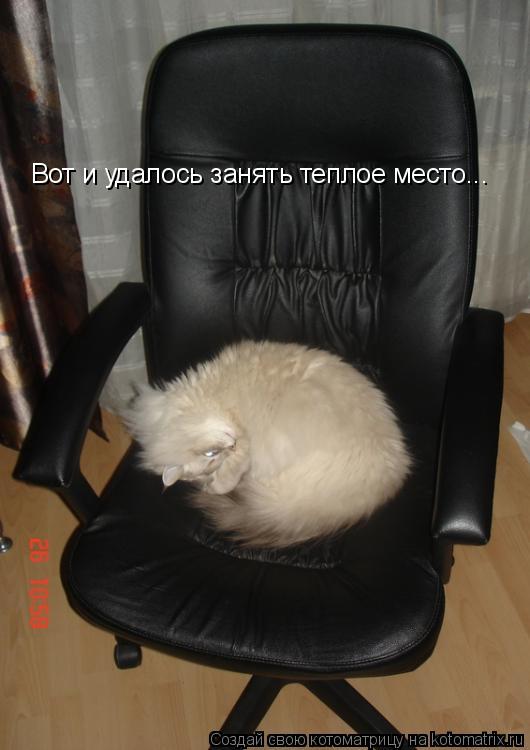 Вот и удалось занять теплое место...... Котоматрица: Вот и удалось занять теплое место...