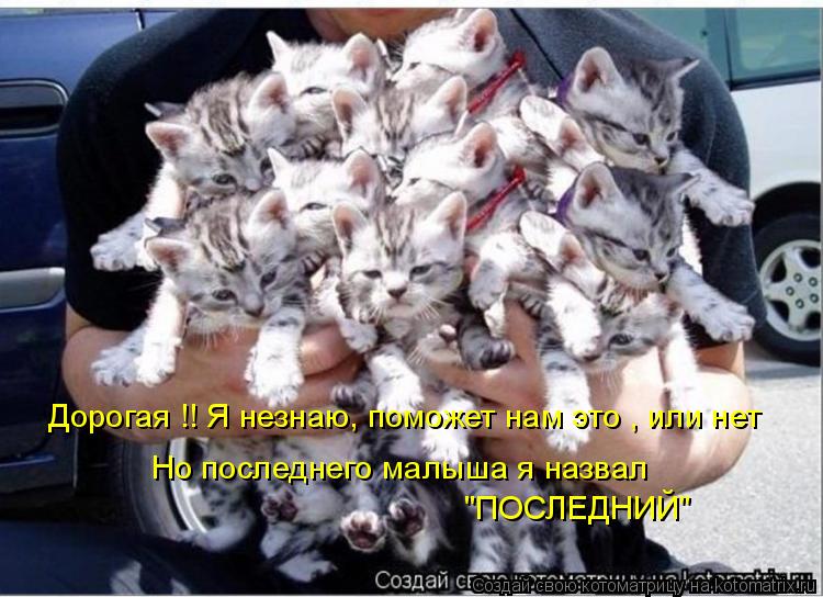 Дорогая !! Я незнаю, поможет нам это , или нет Но последнего малыша я назвал "ПОСЛЕДНИЙ"... Котоматрица: Дорогая !! Я незнаю, поможет нам это , или нет Но последнего малыша я назвал "ПОСЛЕДНИЙ"