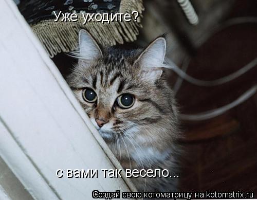 Уже уходите? с вами так весело...... Котоматрица: Уже уходите? с вами так весело...