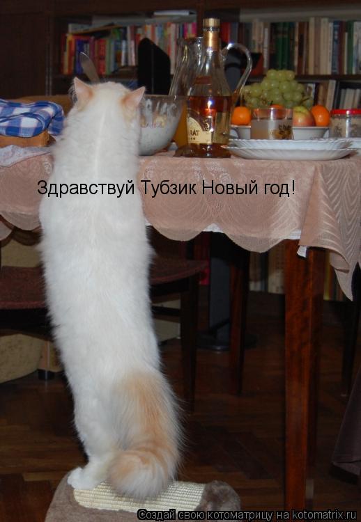 Здравствуй Тубзик Новый год!... Котоматрица: Здравствуй Тубзик Новый год!