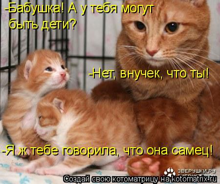 -Бабушка! А у тебя могут быть дети? -Нет, внучек, что ты! -Я ж тебе говорила, что она самец!... Котоматрица: -Бабушка! А у тебя могут быть дети? -Нет, внучек, что ты! -Я ж тебе говорила, что она самец!