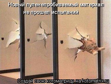 Котоматрица: Новый пуленепробиваемый материал не прошел испытаний