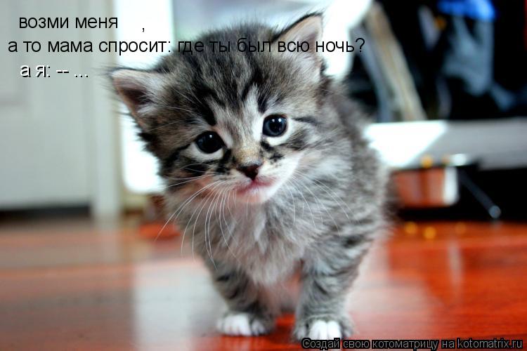 , возми меня а то мама спросит: где ты был всю ночь? а я: -- ...... Котоматрица: , возми меня а то мама спросит: где ты был всю ночь? а я: -- ...