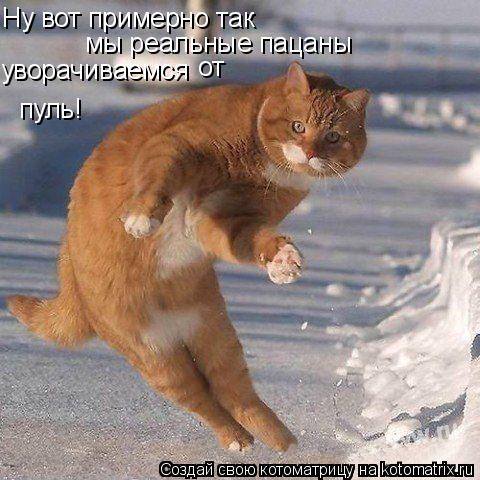 Ну вот примерно так мы реальные пацаны уворачиваемся от пуль!... Котоматрица: Ну вот примерно так мы реальные пацаны уворачиваемся от пуль!
