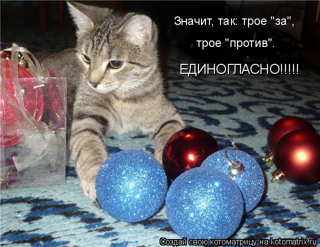 Котоматрица: Значит, так: трое "за", трое "против". ЕДИНОГЛАСНО!!!!!