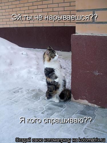 Эй,ты,чё нарываешся?? Я кого спрашиваю??... Котоматрица: Эй,ты,чё нарываешся?? Я кого спрашиваю??