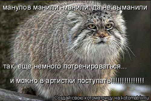 манулов манили -манили, да не выманили так, еще немного потренироваться... и можно в артистки поступа... Котоматрица: манулов манили -манили, да не выманили так, еще немного потренироваться... и можно в артистки поступать!!!!!!!!!!!!!!!