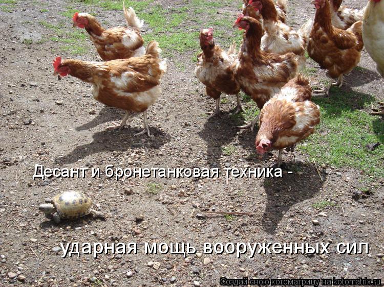 Десант и бронетанковая техника - ударная мощь вооруженных сил... Котоматрица: Десант и бронетанковая техника - ударная мощь вооруженных сил