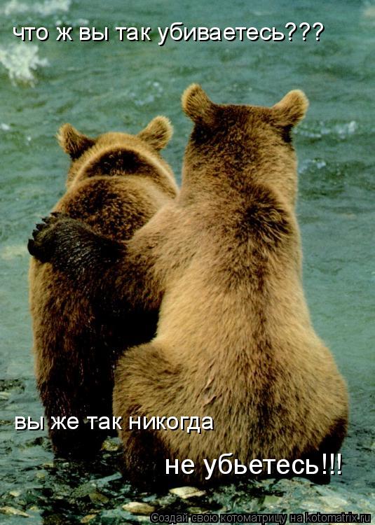 вы же так никогда не убьетесь!!! что ж вы так убиваетесь???... Котоматрица: вы же так никогда не убьетесь!!! что ж вы так убиваетесь???