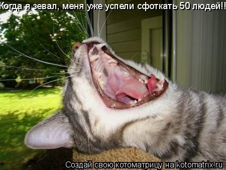 Когда я зевал, меня уже успели сфоткать 50 людей!!... Котоматрица: Когда я зевал, меня уже успели сфоткать 50 людей!!