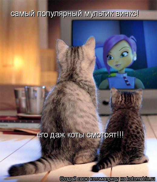самый популярный мультик винкс! его даж коты смотрят!!!... Котоматрица: самый популярный мультик винкс! его даж коты смотрят!!!