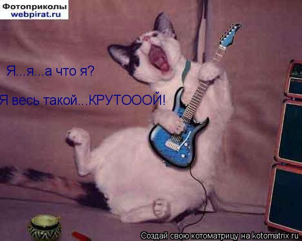 Я...я...а что я? Я весь такой...КРУТОООЙ!... Котоматрица: Я...я...а что я? Я весь такой...КРУТОООЙ!