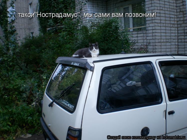 такси"Нострадамус". мы сами вам позвоним!... Котоматрица: такси"Нострадамус". мы сами вам позвоним!
