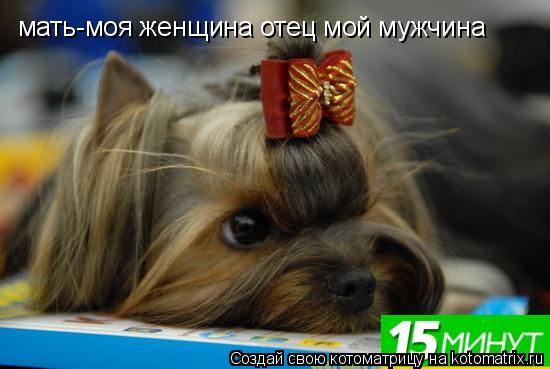 мать-моя женщина отец мой мужчина... Котоматрица: мать-моя женщина отец мой мужчина