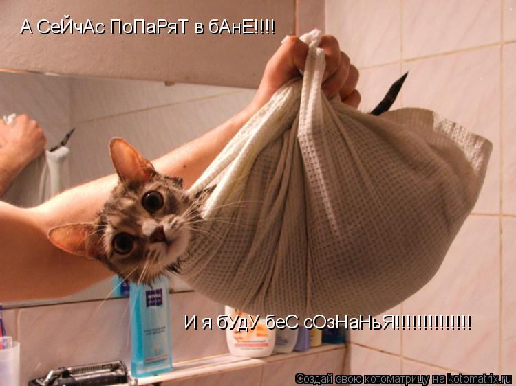 А СеЙчАс ПоПаРяТ в бАнЕ!!!! И я бУдУ беС сОзНаНьЯ!!!!!!!!!!!!!!... Котоматрица: А СеЙчАс ПоПаРяТ в бАнЕ!!!! И я бУдУ беС сОзНаНьЯ!!!!!!!!!!!!!!