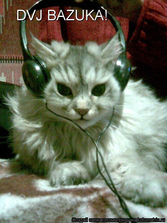 DVJ BAZUKA!... Котоматрица: DVJ BAZUKA!