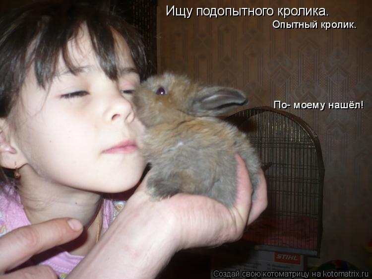 Ищу подопытного кролика. Опытный кролик. По- моему нашёл!... Котоматрица: Ищу подопытного кролика. Опытный кролик. По- моему нашёл!