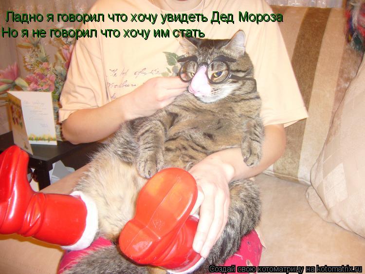 Ладно я говорил что хочу увидеть Дед Мороза Но я не говорил что хочу им стать... Котоматрица: Ладно я говорил что хочу увидеть Дед Мороза Но я не говорил что хочу им стать