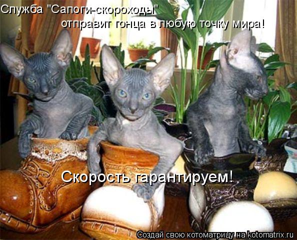 Служба "Сапоги-скороходы" отправит гонца в любую точку мира! Скорость гарантируем!... Котоматрица: Служба "Сапоги-скороходы" отправит гонца в любую точку мира! Скорость гарантируем!