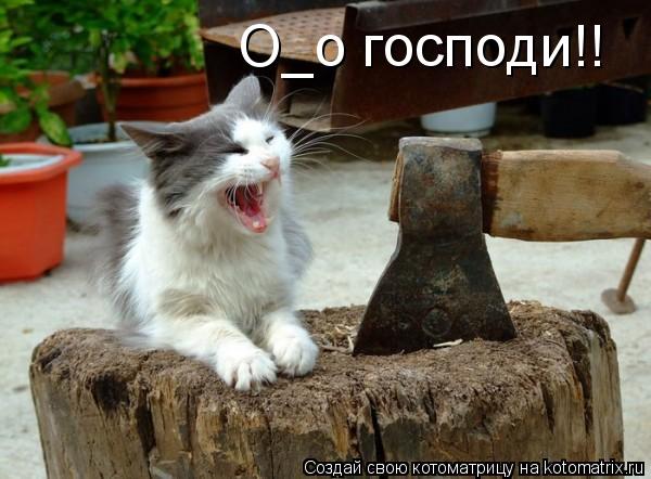 О_о господи!!... Котоматрица: О_о господи!!