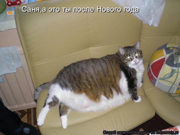 Саня,а это ты после Нового года... Котоматрица: Саня,а это ты после Нового года