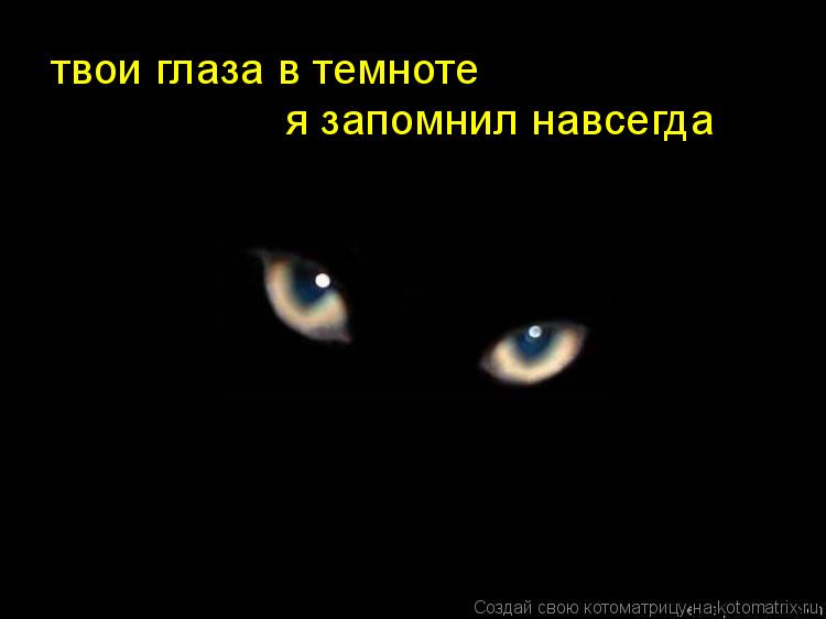 Котоматрица: твои глаза в темноте я запомнил навсегда