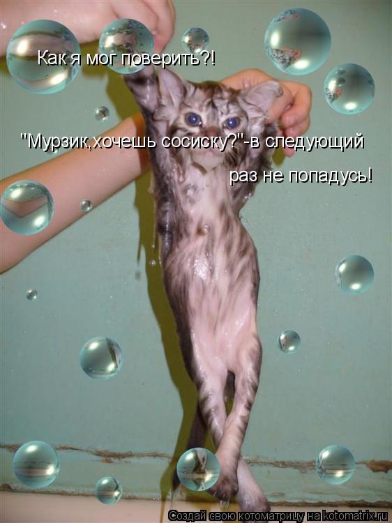 Как я мог поверить?! "Мурзик,хочешь сосиску?"-в следующий раз не попадусь!... Котоматрица: Как я мог поверить?! "Мурзик,хочешь сосиску?"-в следующий раз не попадусь!