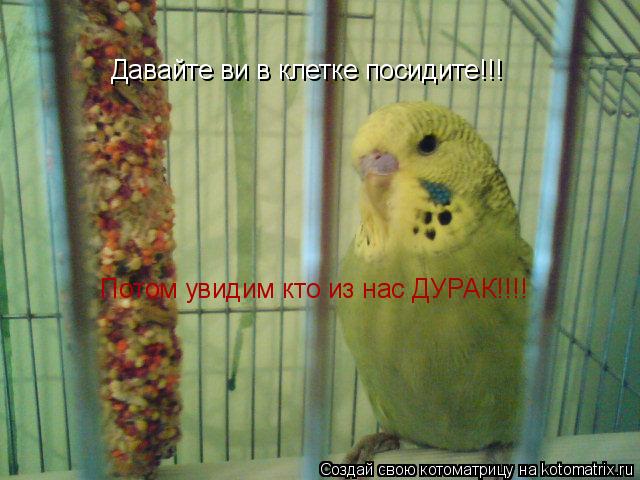 Давайте ви в клетке посидите!!! Потом увидим Давайте ви в клетке посидите!!! Потом увидим кто из нас... Котоматрица: Давайте ви в клетке посидите!!! Потом увидим Давайте ви в клетке посидите!!! Потом увидим кто из нас ДУРАК!!!!