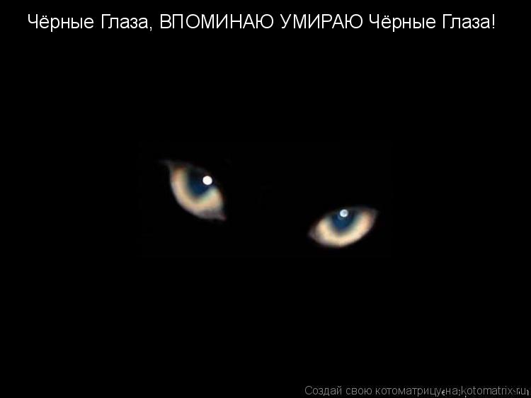 Чёрные Глаза, ВПОМИНАЮ УМИРАЮ Чёрные Глаза!... Котоматрица: Чёрные Глаза, ВПОМИНАЮ УМИРАЮ Чёрные Глаза!
