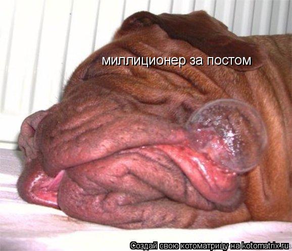миллиционер за постом... Котоматрица: миллиционер за постом