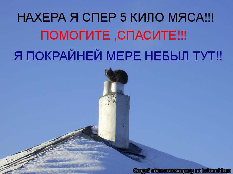 Котоматрица: НАХЕРА Я СПЕР 5 КИЛО МЯСА!!! ПОМОГИТЕ ,СПАСИТЕ!!! Я ПОКРАЙНЕЙ МЕРЕ НЕБЫЛ ТУТ!!