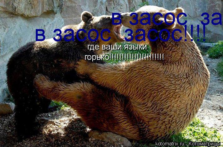 где ваши языки горько!!!!!!!!!!!!!!!!!!!!!! в засос засос!!!! в засос засос!!!!... Котоматрица: где ваши языки горько!!!!!!!!!!!!!!!!!!!!!! в засос засос!!!! в засос засос!!!!