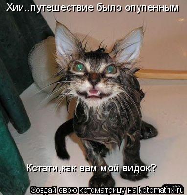 Хии..путешествие было опупенным Кстати,как вам мой видок?... Котоматрица: Хии..путешествие было опупенным Кстати,как вам мой видок?
