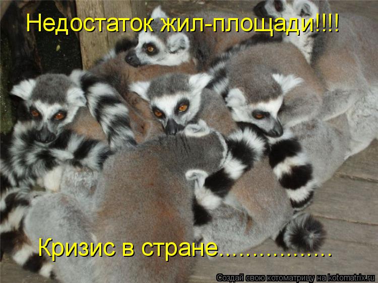 Недостаток жил-площади!!!! Кризис в стране.................... Котоматрица: Недостаток жил-площади!!!! Кризис в стране.................