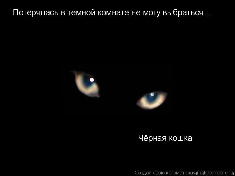 Потерялась в тёмной комнате,не могу выбраться.... Чёрная кошка... Котоматрица: Потерялась в тёмной комнате,не могу выбраться.... Чёрная кошка