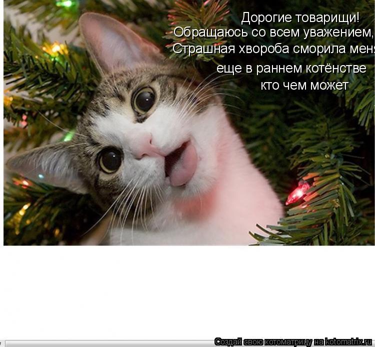 Котоматрица: Дорогие товарищи! Обращаюсь со всем уважением, Страшная хвороба сморила меня еще в раннем котёнстве кто чем может