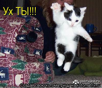 Ух ТЫ!!!... Котоматрица: Ух ТЫ!!!