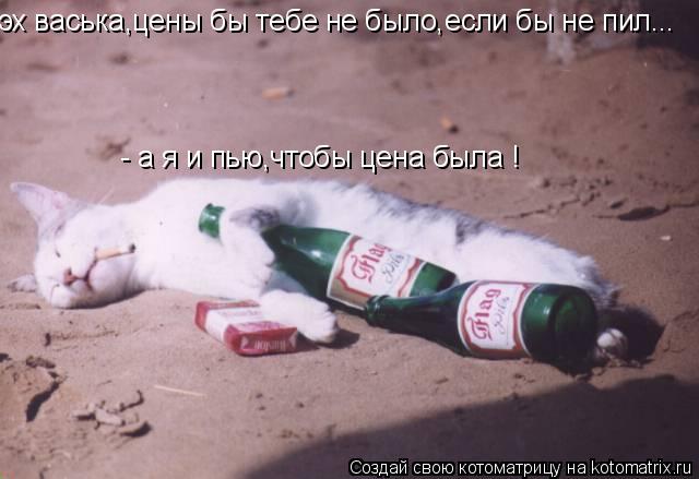 эх васька,цены бы тебе не было,если бы не пил... - а я и пью,чтобы цена была !... Котоматрица: эх васька,цены бы тебе не было,если бы не пил... - а я и пью,чтобы цена была !