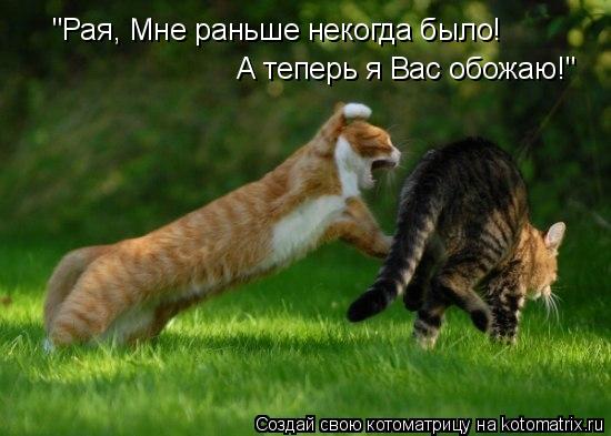 "Рая, Мне раньше некогда было! А теперь я Вас обожаю!"... Котоматрица: "Рая, Мне раньше некогда было! А теперь я Вас обожаю!"