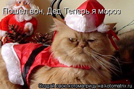 Пошёл вон, Дед Теперь я мороз... Котоматрица: Пошёл вон, Дед Теперь я мороз
