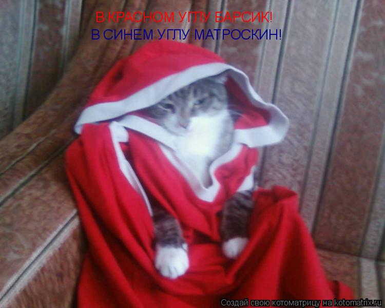 Котоматрица: В КРАСНОМ УГЛУ БАРСИК! В СИНЕМ УГЛУ МАТРОСКИН!